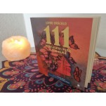 Livro 111 Mensagens para a sua alma