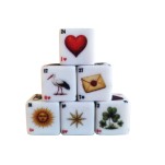 6 Dados Lenormand + Saquinho + Livreto com significado inspirado no baralho cigano