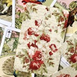 Vera Sibilla Italiana- Sibilla Cigana Rosa 52 cartas livreto