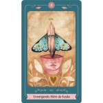 Oráculo da Vida (Livro + 33 Cartas)
