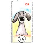 Primeiros Passos Lenormand Baralho Tarô Cigano deck com 37 cartas com o significado na carta para iniciantes e livreto