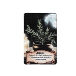 Oráculo O Feitiço das Bruxas