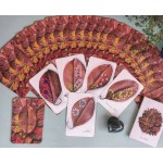 Oráculo das Árvores (caixa +36 Cartas + Livro)