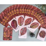 Oráculo das Árvores (caixa +36 Cartas + Livro)