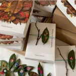 Oráculo das Árvores (caixa +36 Cartas + Livro)