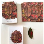 Oráculo das Árvores (caixa +36 Cartas + Livro)