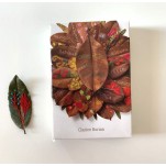 Oráculo das Árvores (caixa +36 Cartas + Livro)