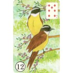 Coração Cigano Baralho Tarô inspirado no povo cigano deck com 36 Cartas e livreto