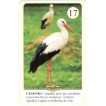 Romani Lenormand baralho dedicado ao povo cigano 36 Cartas