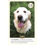 Romani Lenormand baralho dedicado ao povo cigano 36 Cartas