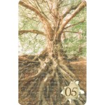 Indie Lenormand (Livreto + 36 Cartas + Caixinha)