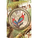 Arara Vermelha Lenormand - Baralho Cigano 