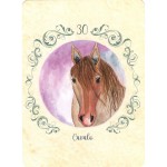 Baralho Sibila da Estrada (Livreto + 44 Cartas)
