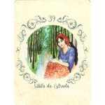 Baralho Sibila da Estrada (Livreto + 44 Cartas)