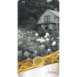 Imortalle - Baseado no baralho cigano (Livreto + 48 Cartas)