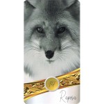 Imortalle - Baseado no baralho cigano (Livreto + 48 Cartas)