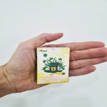 Alegria Lenormand - versão MINI