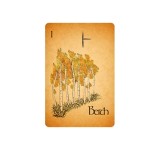 Ogham – O Oráculo dos Druidas (Livro + 25 Cartas)