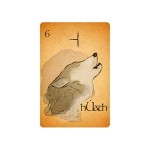 Ogham – O Oráculo dos Druidas (Livro + 25 Cartas)