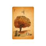 Ogham – O Oráculo dos Druidas (Livro + 25 Cartas)