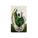 Tarô dos Orixás deck com 22 cartas e livro