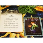 Oráculo da Benzedeira (Livreto + 36 Cartas + Saquinho)