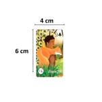 Mini Deuses de Aruanda Lenormand - Baralho Cigano