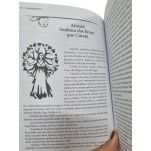 Todas as Deusas do Mundo com Rituais Wiccanianos