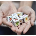 6 Dados Lenormand ciganos Dadomancia kit saquinho manual