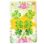 Cigana Carmela Lenormand Baralho Tarô Cigano deck com 36 cartas e livreto explicativo