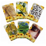 Cartas da Mamãe Oxum, 36 Cartas + Livreto