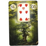 Esplendor Lenormand - Baralho Cigano com 42 cartas