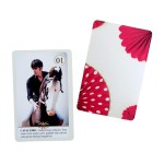 Romani Lenormand baralho dedicado ao povo cigano 36 Cartas