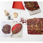 Oráculo das Árvores (caixa +36 Cartas + Livro)