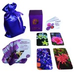 Baralho\Oráculo Jogo de fotos - Florais de Saint Germain (Saquinho + Caixa + Livreto + 91  Cartas)