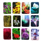 Baralho\Oráculo Jogo de fotos - Florais de Saint Germain (Saquinho + Caixa + Livreto + 91  Cartas)