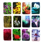 Baralho\Oráculo Jogo de fotos - Florais de Saint Germain (Saquinho + Caixa + Livreto + 91  Cartas)