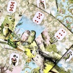 Victória Lenormand Baralho Cigano com Livreto e 41 cartas