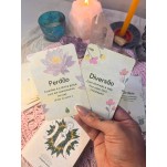 Oráculo As Fases da Deusa: Conselhos dos Devas da Natureza para vencer no jogo da vida (Livro + 32 Cartas)